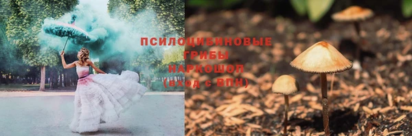 молекула духа Алексеевка