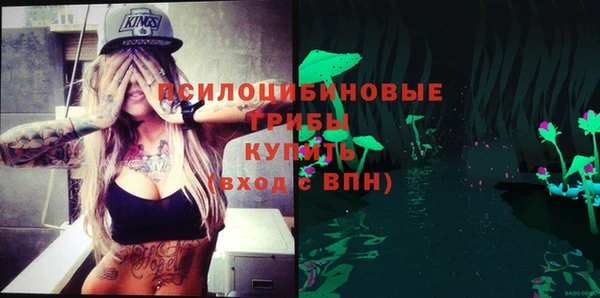 дмт Алзамай
