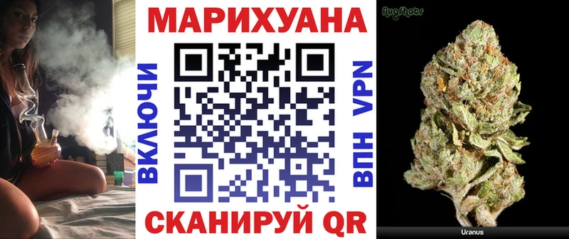 Канабис гибрид  Куртамыш 